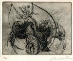 Andre Racz - Engraving - Stanley William Hayter - Victor Femenias