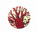 Marcela Carvajal - Grabado - Exposición Internacional de Mini Grabados de Cadaqués