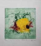 Pablo Quercia Martinic - Artista Chileno - Grabador - Aguafuerte - Aguatinta - Punta Arenas - Peces