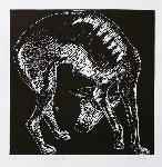 Paola Vasquez, grabadora chilena, America del Sur, Chile, arte Latino, estampa, grabado, xilografia, linograbado, aguafuerte, aguatinta, litografia, Valparaiso, perro