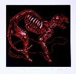 Paola Vasquez, grabadora chilena, America del Sur, Chile, arte Latino, estampa, grabado, xilografia, linograbado, guafuerte, aguatinta, litografia, Valparaiso, esqueleto, gato