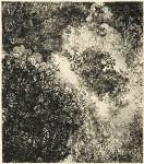 Moving art, moving-art.net, Jorge Martinez, grabador chileno, grabado, agafuerte, Angeles, 17 International Print of Biennial of Varna, Arte Latinoamericano