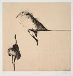 Moving-art - Nathalie Grall - Gravure - Chalcographie - Buriniste - Burin